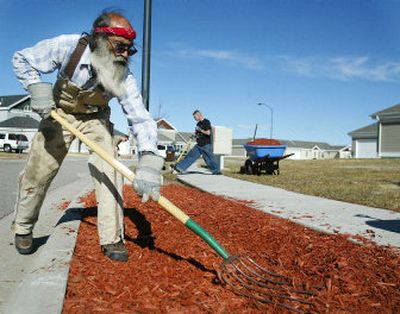 
Karl Dreiman spreads mulch into beds at F.E. Warren Air Force Base, in Wyoming. Dreiman works through Skils'kin, an agency that helps people with varied disabilities find work that fits their ability. 
 (Associated Press / The Spokesman-Review)