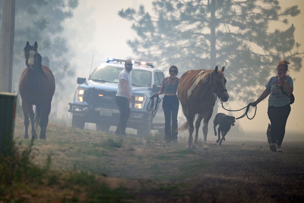 Residents along West Maxs Lane rescue their animals Tuesday with the help of law enforcement during a wind-driven wildfire west of Spokane.  (COLIN MULVANY/THE SPOKESMAN-REVIEW)