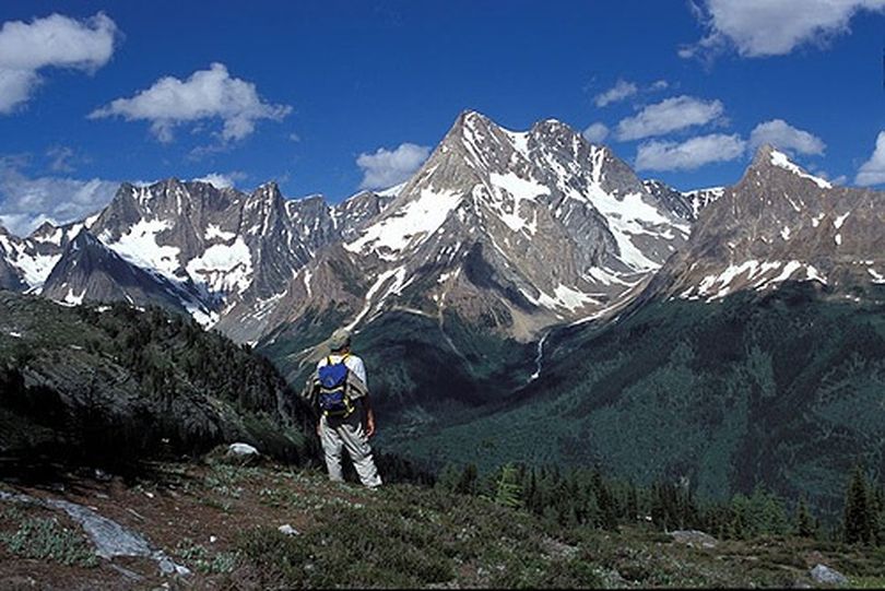 A hiker pauses for a view from Jumbo Pass in the Purcell Mountains of British Columbia near Invermere. (Courtesy photo)