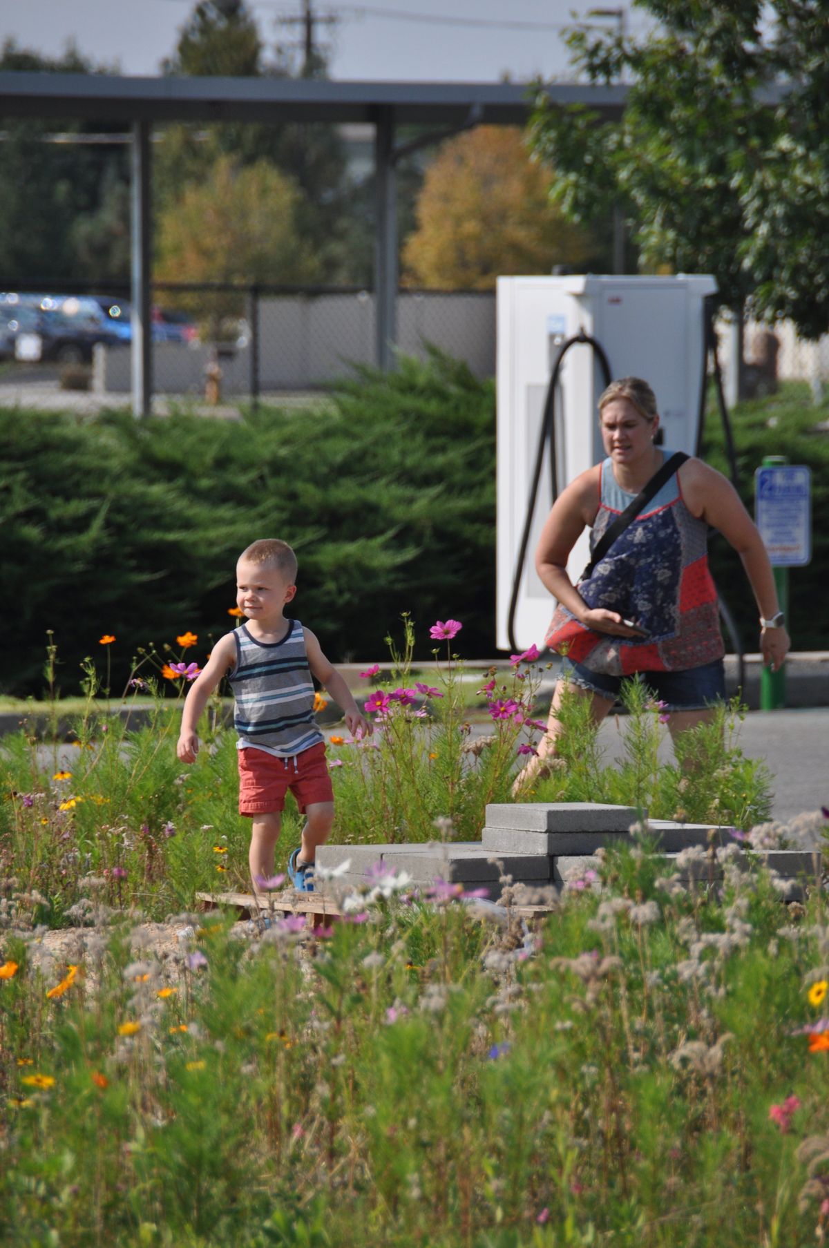 Henry Sutton begins his exploration of the new meadow garden at the Indian Trail library, trying the patience of mother Jenna, who needed to get off to other activities after visiting the library.  (Pat Munts/For The Spokesman-Review)