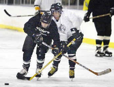 
Andy Wilder, left, and Mike Vannier wrestled for control of the puck during a scrimage in the 35-plus senior hockey league at the Wenatchee Ice Arena. 
 (Associated Press / The Spokesman-Review)