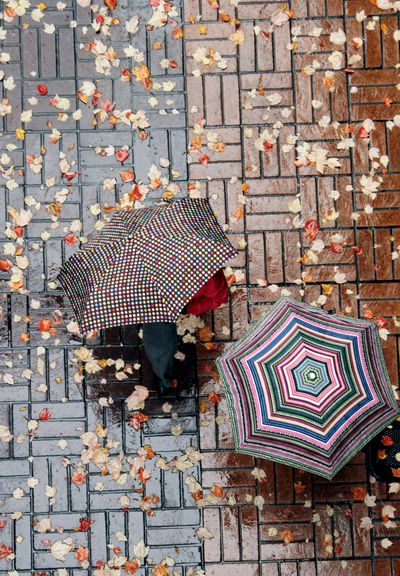 Bird’s eye view: Two pedestrians walk down a leaf-strewn sidewalk after a rainstorm in Portland on Monday. (Associated Press)