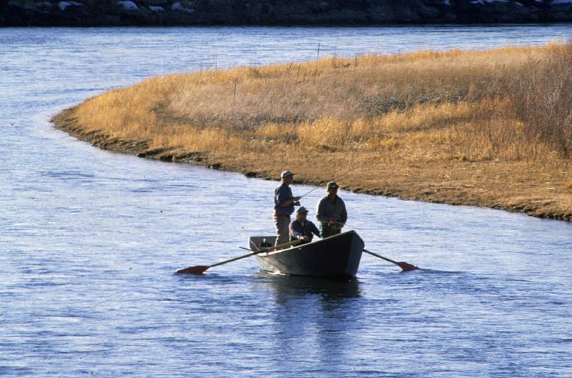 Fly fishermen work the waters of the Missouri River near Wolf Creek, Mont., a stretch popular for trout fishing. Researchers say the overall size of the trout is remarkably large.  (File Associated Press)