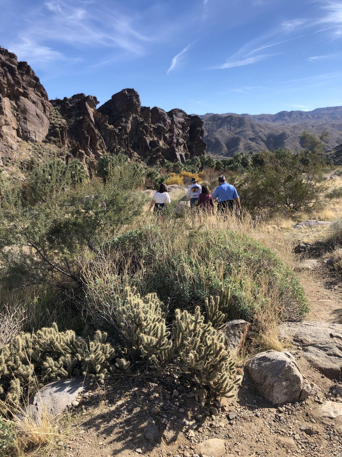 Desert Adventures offers Red Jeep tours in the gorgeous canyons near Palm Springs. (Leslie Kelly)