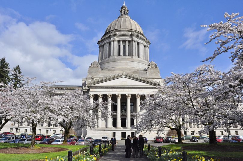 OLYMPIA -- Spring hits the Capitol Campus, March 12, 2015.  (Jim Camden)