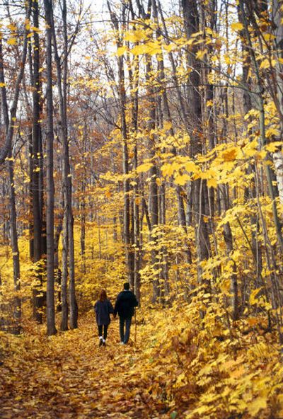 
You don't need to belong to a gym to stay fit. Exercising at home can be an excellent option, especially if there are nice places to walk near your home.
 (King Features Syndicate / The Spokesman-Review)