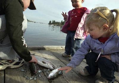 
Youngsters who dare to touch a live fish will get plenty of opportunities at West Medical Lake.
 (Dan Pelle / The Spokesman-Review)