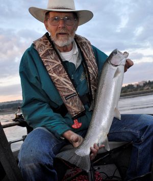Jim Kujala hauls in a hatchery steelhead from the lower Clearwater River. (Rich Landers)