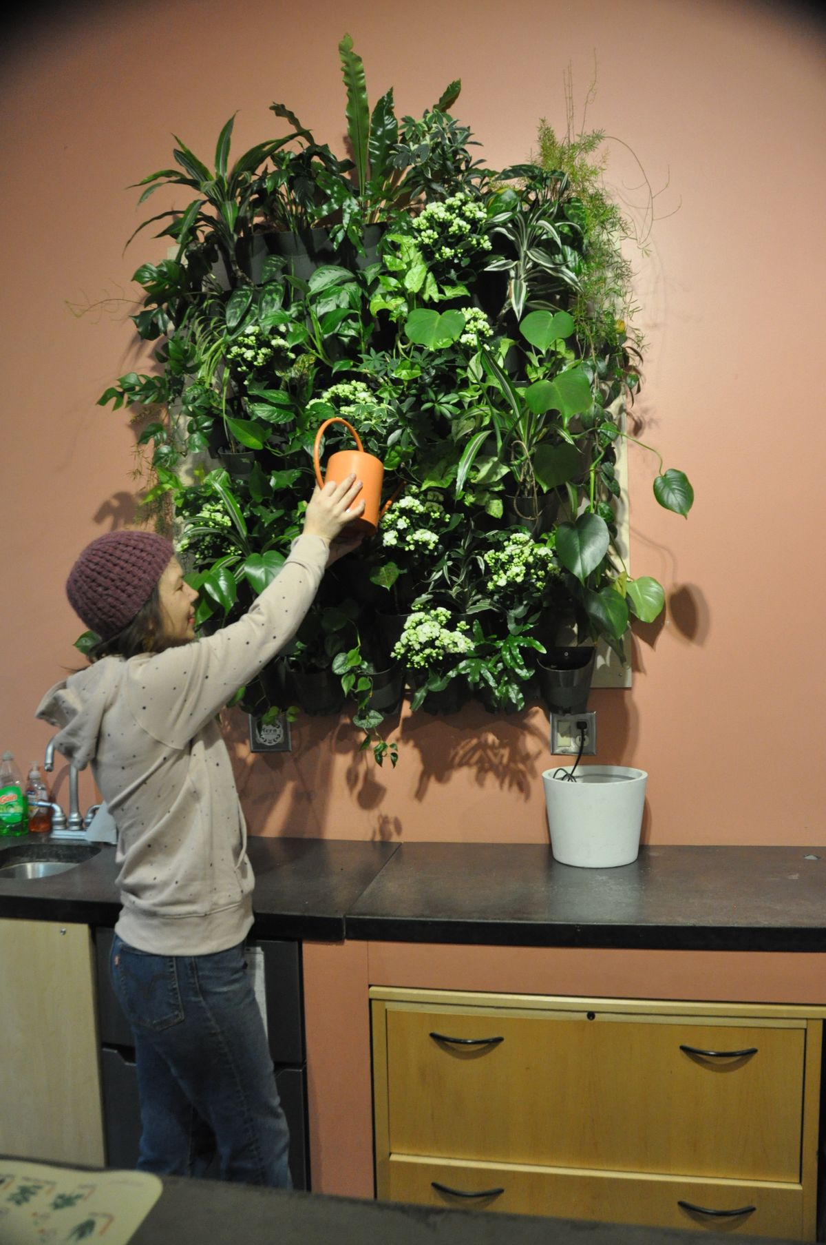 Amy Dolomont hand waters a green wall garden In their downtown shop made up of small houseplants tucked into pockets of soil and suspended from a wall.  (Pat Munts/For The Spokesman-Review)