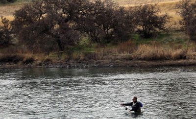 
A Spey caster fly fishes for steelhead at the end of February in the Grande Ronde River just upstream from the Snake River in southeastern Washington. 
 (Rich Landers / The Spokesman-Review)