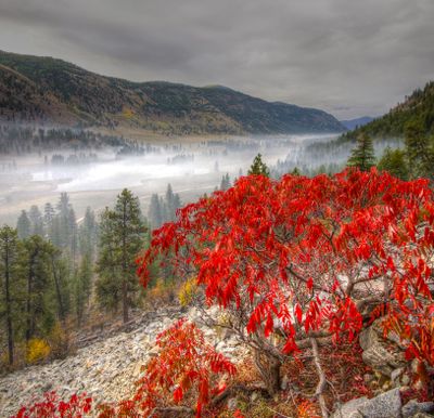 Autumn-colored sumac brightens Sinlahekin Wildlife Area, Washington’s first state-managed wildlife habitat and recreation area.
