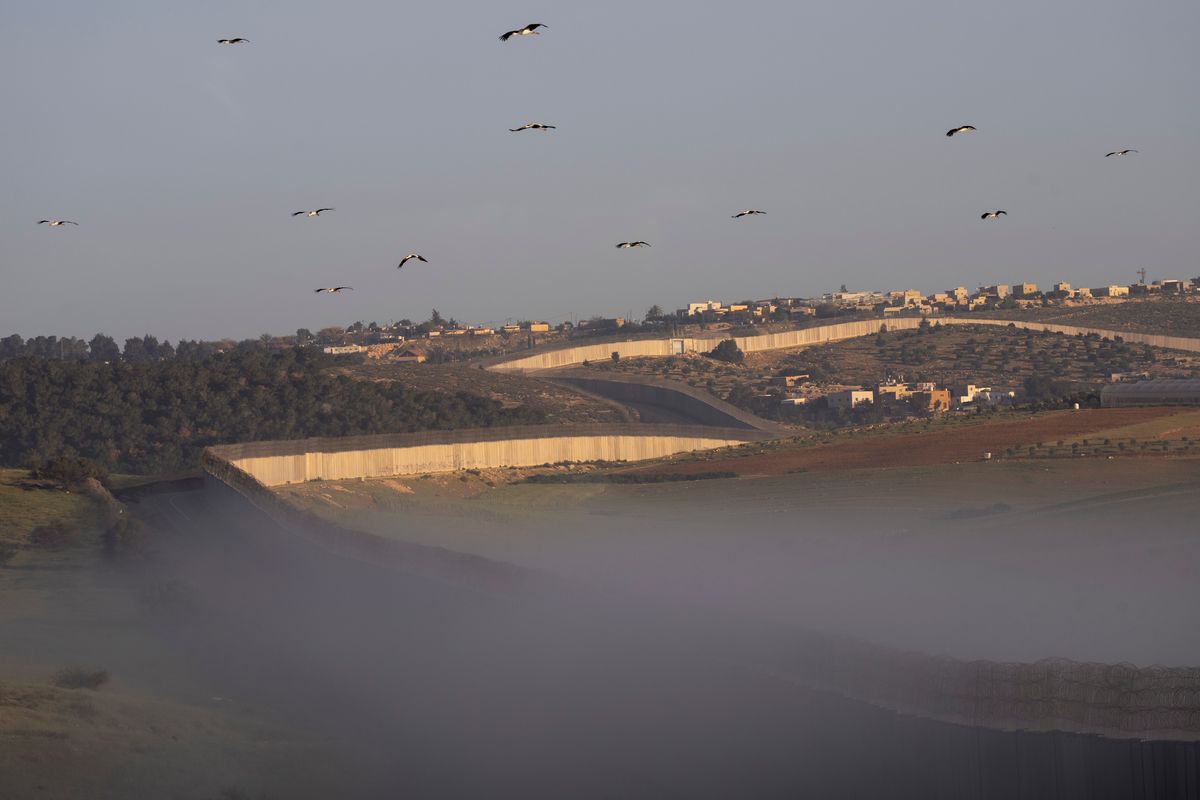 Storks fly over a section of Israel’s separation barrier, between the Israeli Kibbutz Kramim and the West Bank village of Arab al Fureijat on Sunday. (Oded Balilty)