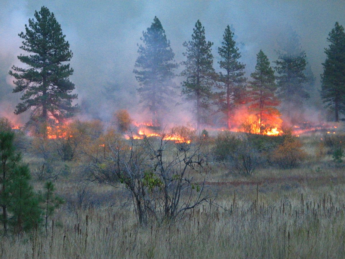 BLM to set prescribed burns in Stevens County | The Spokesman-Review