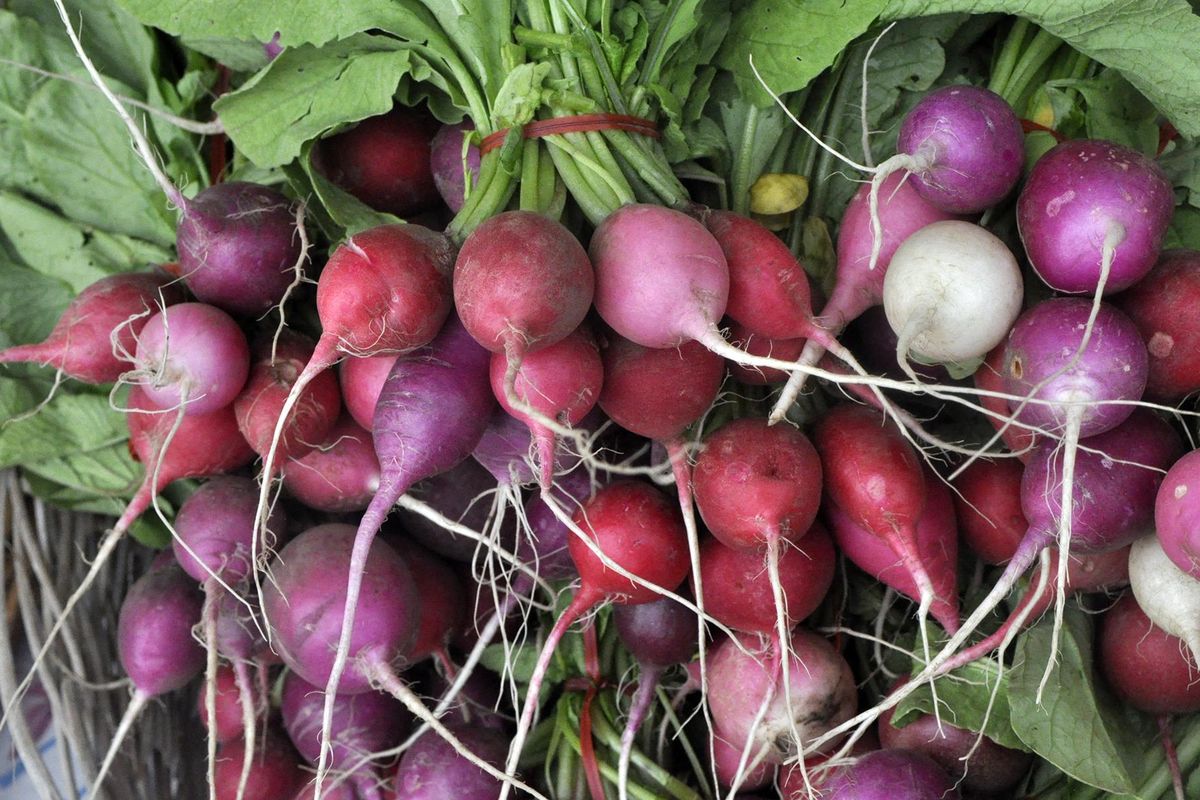 Radishes. (Adriana Janovich / The Spokesman-Review)