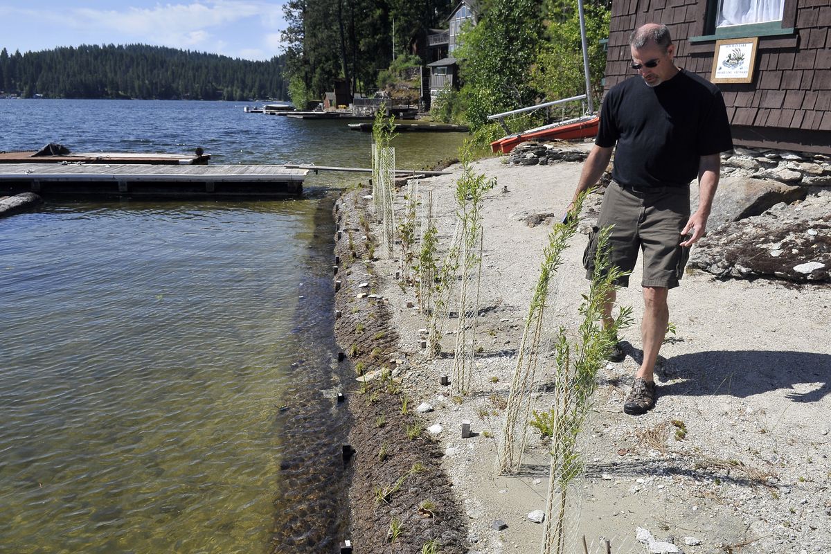 Walt Edelin of the Spokane County Conservation District views the shoreline control project at a Newman Lake waterfront home Tuesday. (Jesse Tinsley)