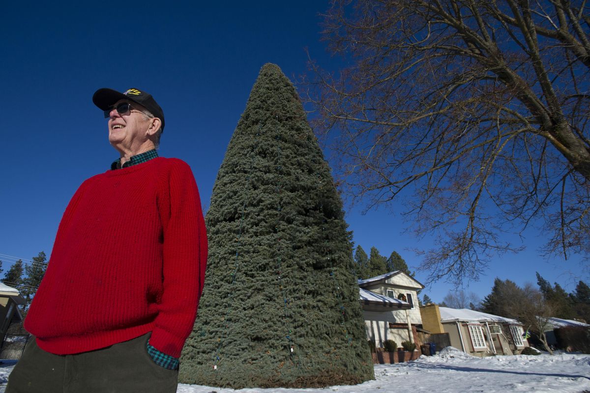 Dan Campbell poses for a photo with his 50-foot-tall Christmas tree on Tuesday, Dec. 20, 2016, in Spokane, Wash. A company recently chopped off the top 3 feet of the tree while trimming it. (Tyler Tjomsland / The Spokesman-Review)