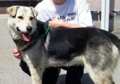 
Courtesy of SCRAPS
 (Courtesy of SCRAPS / The Spokesman-Review)