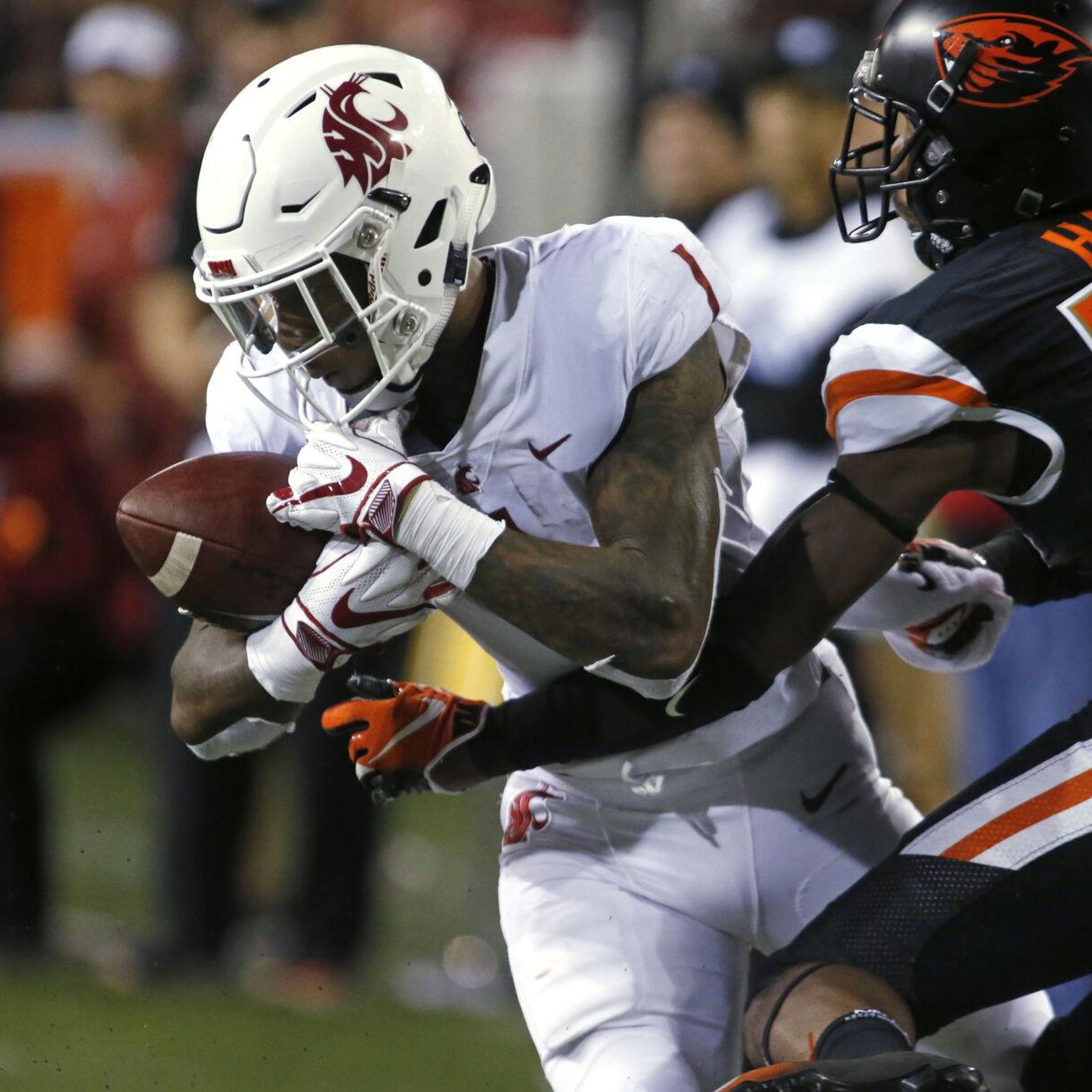 WSU wide receiver Tay Martin enters NCAA transfer pool, Local News