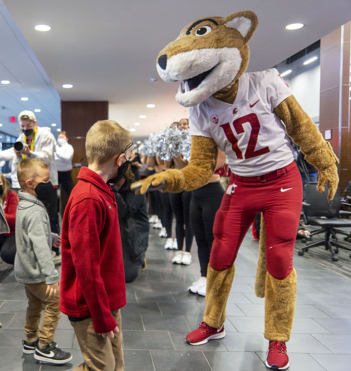 Washington nationals mascot hi-res stock photography and images