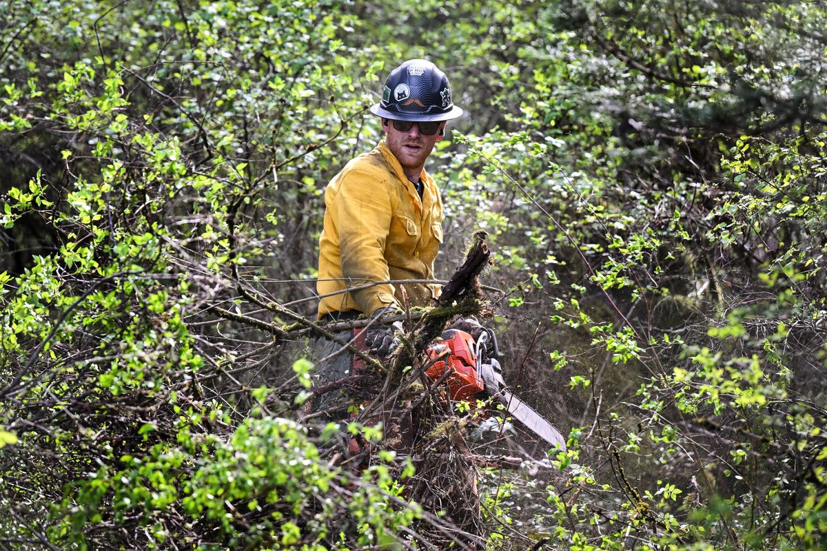 A worker clears brush on Tuesday at Edwidge Woldson Park in Spokane. (Tyler Tjomsland/The Spokesman-Review)