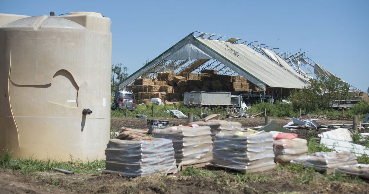 New Jersey's largest dairy farm nearly destroyed in tornado The