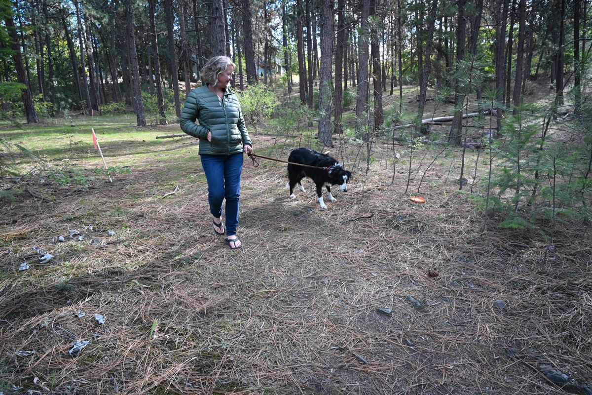 Underhill Park neighbor Sam Mace walks her dog Jackson through the forested natural area on the hillside above the park in East Central Spokane earlier this month.   (Jesse Tinsley/The Spokesman-Review)