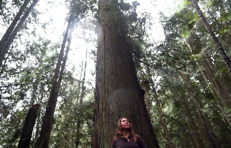 Ali Hakala is among those upset about Idaho Fish and Game’s decision to sell timber from a second-growth cedar grove near Lake Pend Oreille. (The Spokesman-Review)
