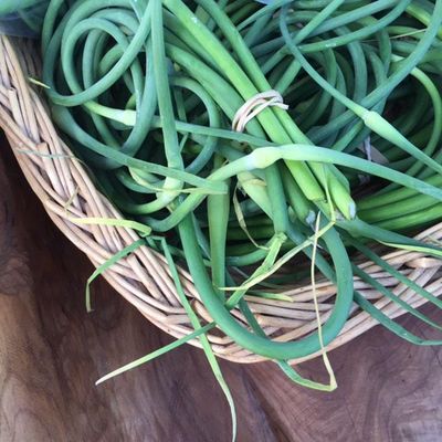 Garlic scapes are the shoots or stems of hard-neck garlic varieties.