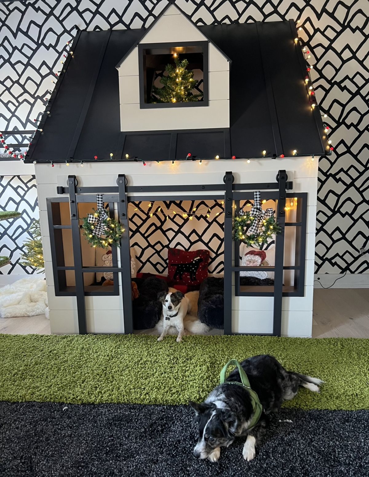 Kelly Ladwig and Suzie Stolarz commissioned this custom $12,000 pet playhouse for their three cats and two dogs.  (Courtesy ADAM MACCHIA)