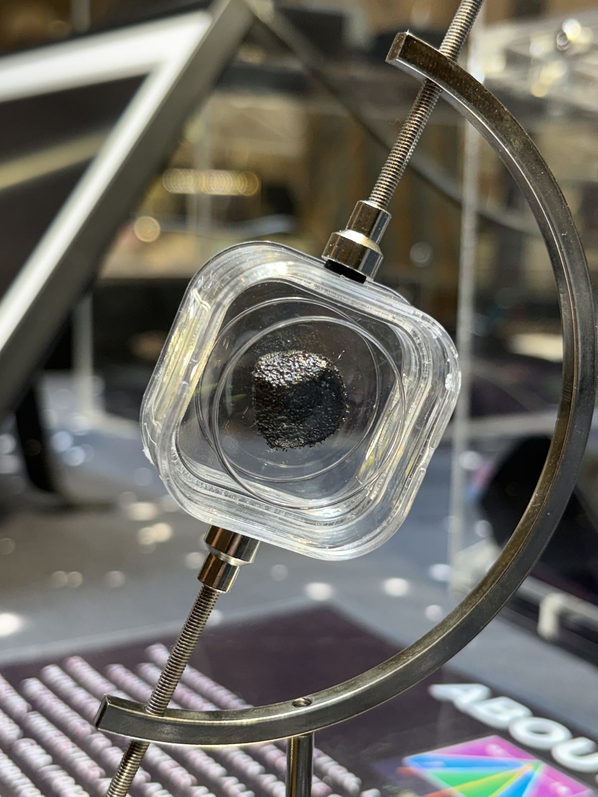 A piece of a meteorite that fell in Ohio, collected by Cohen.  (Philadelphia Inquirer)