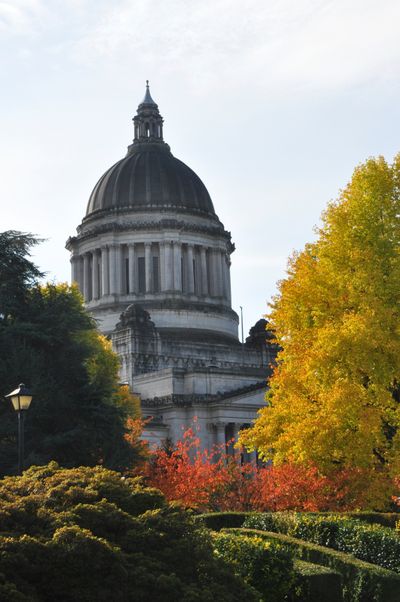 The Washington State Capitol, from the north side, in fall colors on Nov. 8, 2011 (Jim Camden)