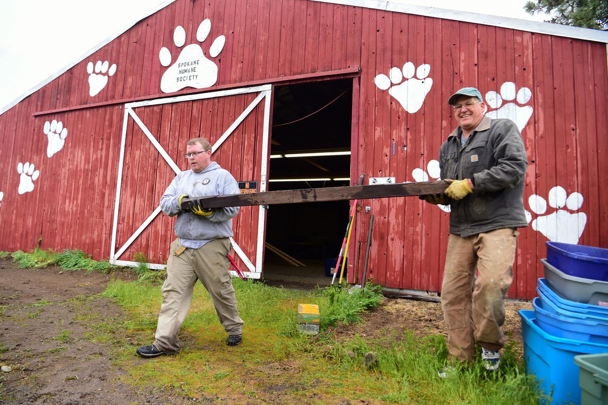 Alex Sains, left, and Steve Bell, right, load castoff wood and other refuse in a truck during a cleanup Saturday, April 28, 2018, at the Spokane Humane Society at 6607 N. Havana St. in Hillyard. The Society will hold a Kitten Baby Shower in the Big Red Barn on Saturday, May 11, 2019. (Jesse Tinsley / The Spokesman-Review)
