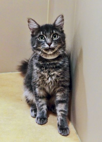 <!-- Feature creature  --> (Photo courtesy of Karen Fosberg)