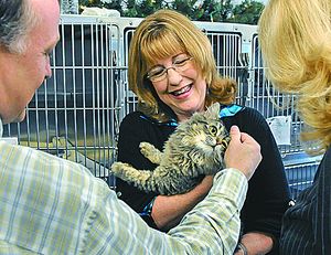 Spokane City Councilwoman Nancy McLaughlin and Spokane County Commissioner Mark Richard enjoy some quality time with a cat at the shelter. 