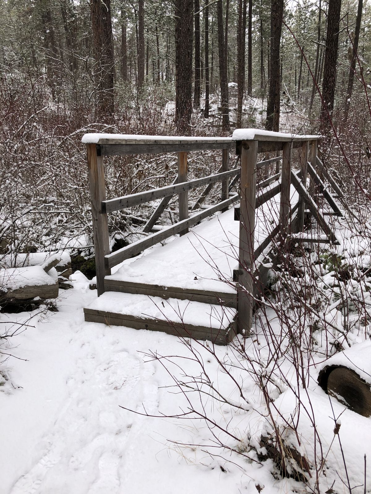 B is for bridge. Photo submitted by Jessie McLaughlin. 