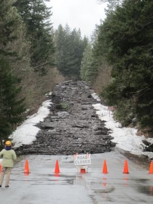 The Okanogan-Wenatchee national forests on April 1, 2011, called for an emergency closure of the Icicle Road near Leavenworth after a landslide swept trees, mud and boulders the size of cars onto the popular forest access. (U.S. Forest Service)