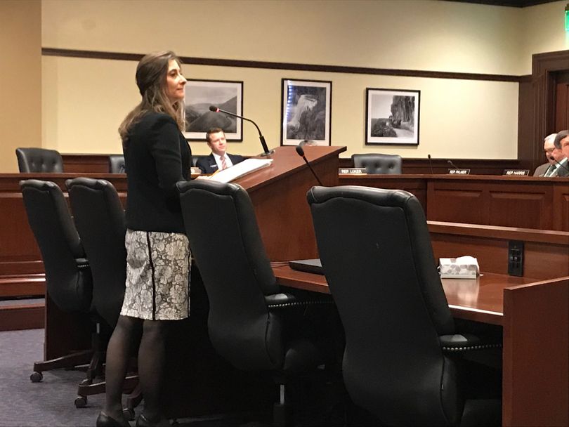 Rep. Heather Scott, R-Blanchard, pitches a new version of her bill to limit repeat bond elections at the House State Affairs Committee on Monday, Feb. 26, 2018. (Betsy Z. Russell)