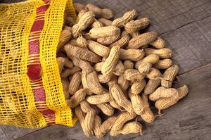 Peanuts and peanut products are included in a host of unexpected foods, including everything from candy to chili to egg rolls.  (Associated Press / The Spokesman-Review)