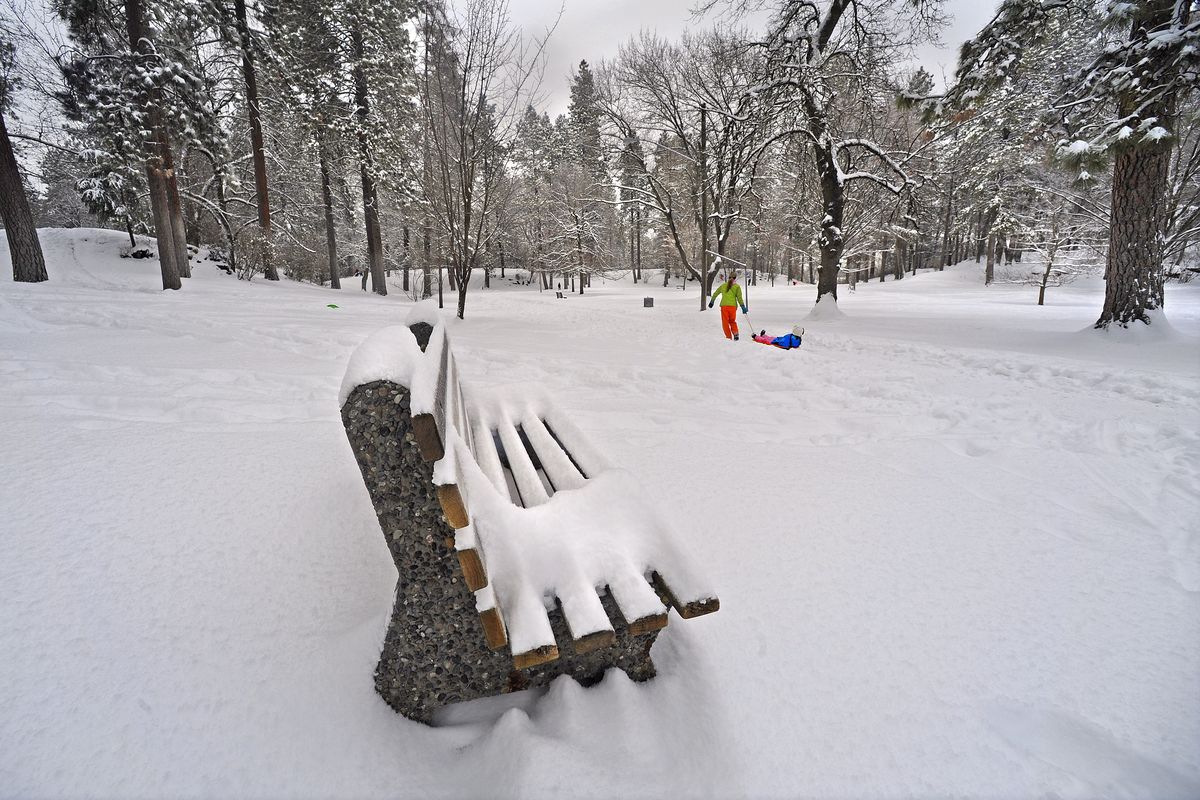 The monochromatic landscape of a snow-covered Manito Park is broken only by the bright colors of sledders, skiers, snowshoers and other winter enthusiasts. (Christopher Anderson)