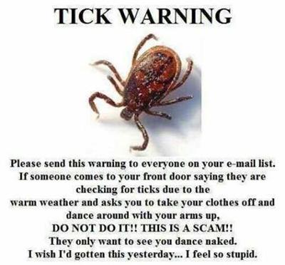 Anonymous advice about how to handle a random tick check offer.
