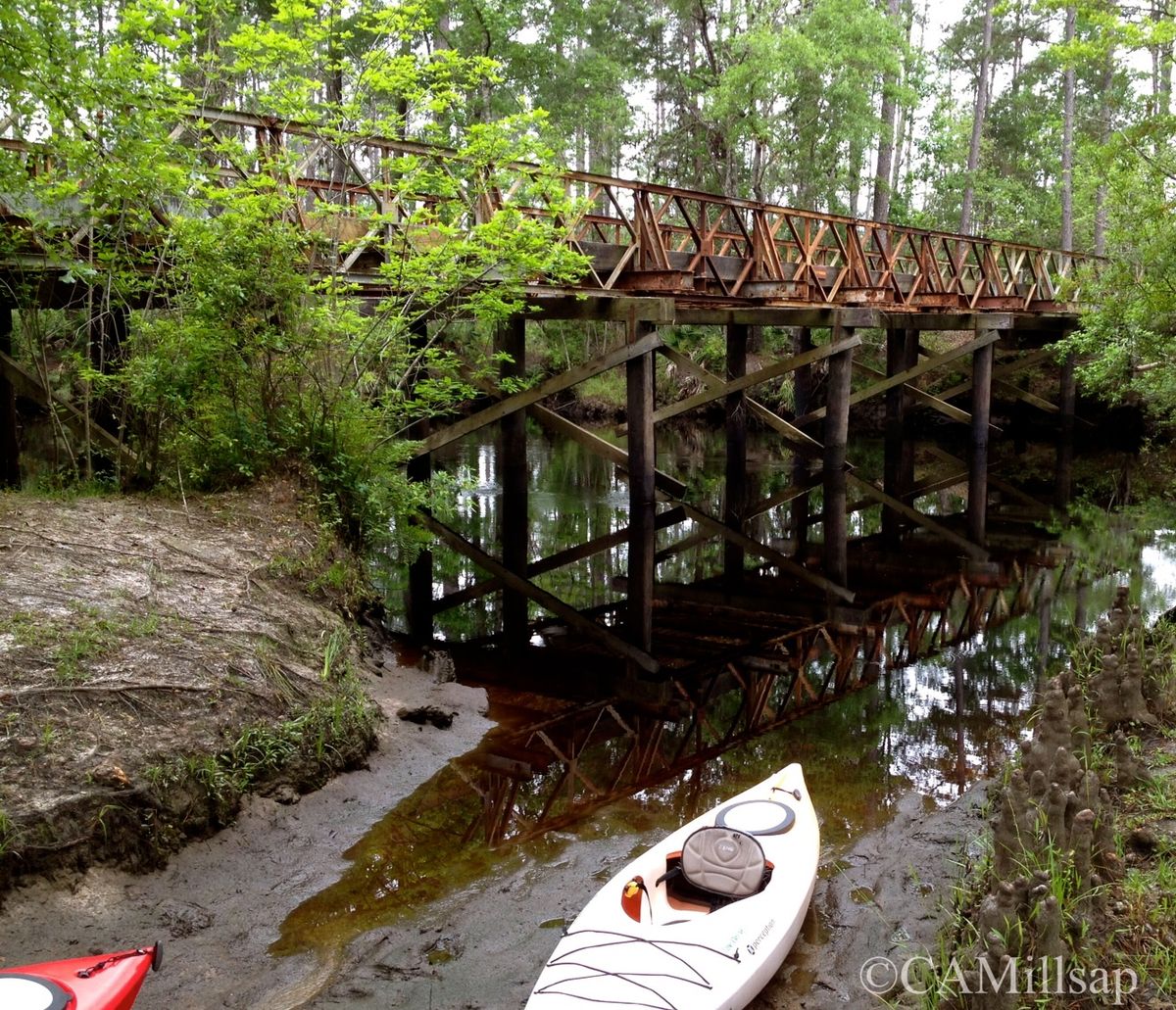 Travel Kayaking the New River in Franklin County, Florida