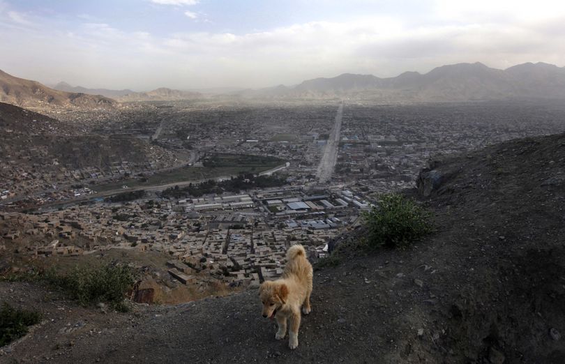 An aerial view of Kabul city is seen from atop a hill as a street dog walks in Kabul, Afghanistan, Friday, May 27, 2011. (Mustafa Quraishi / Associated Press)
