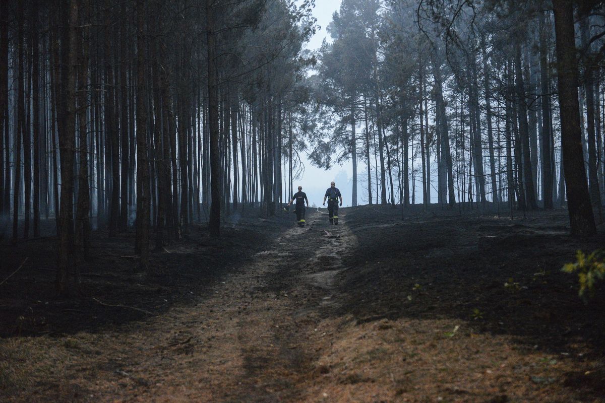 Firefighters walk through a forest in Treuenbrietzen, south of Berlin, on Friday, Aug. 24, 2018, after a wildfire with the size of 400 soccer fields. (Julian Staehle / AP)
