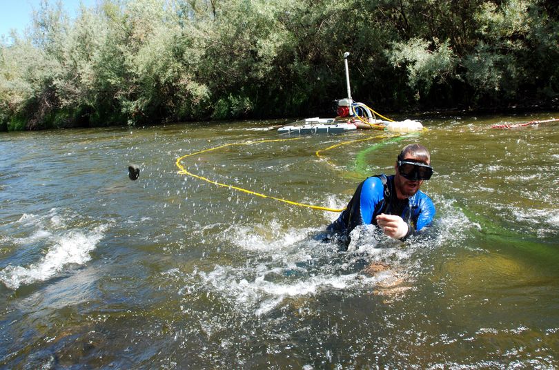 In this 2009 file photo, Matt Lauer, of Portage, Wis., works a suction dredge to hunt for gold in the Klamath River near Happy Camp, Calif. (JEFF BARNARD / Associated Press)