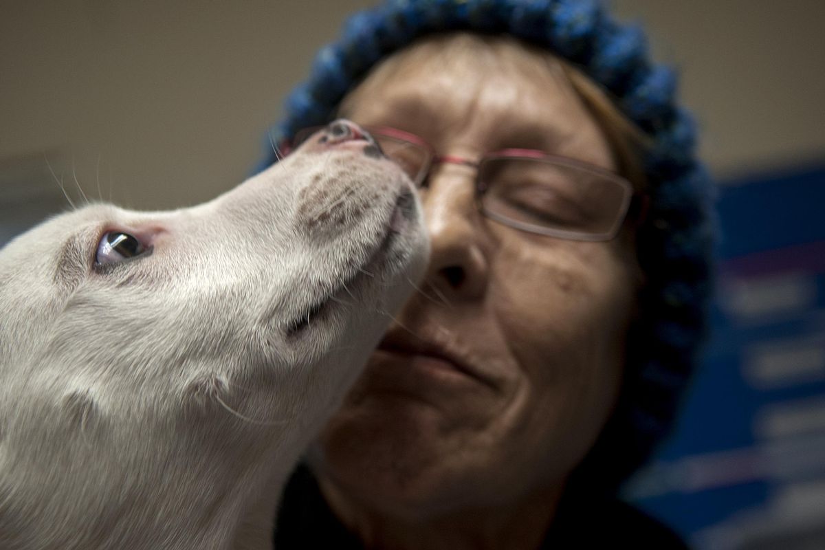 Low-cost vet clinic at Union Gospel Mission keeps animals healthy and  owners happy | The Spokesman-Review