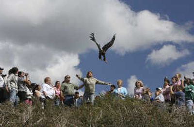 
Wendy Black, widow of rescuer Dale Black, releases a 6-month-old golden eagle from the top of the Great Western Trail in Utah. Friends and family of the miners and mine rescuers were invited to send prayers for their loved ones aloft with the eagle on Friday. Associated Press
 (Associated Press / The Spokesman-Review)