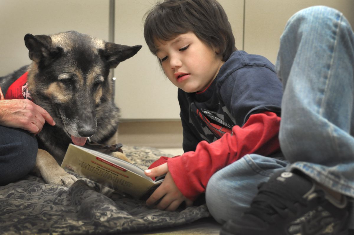 Holmes Elementary School second-grader Ivan Morrow reads to a German shepherd named Molly last week.  Molly and her handler, Karen Faddis, have been recognized  with an Outstanding Volunteer award for their work in a reading program at the school.   (CHRISTOPHER ANDERSON / The Spokesman-Review)