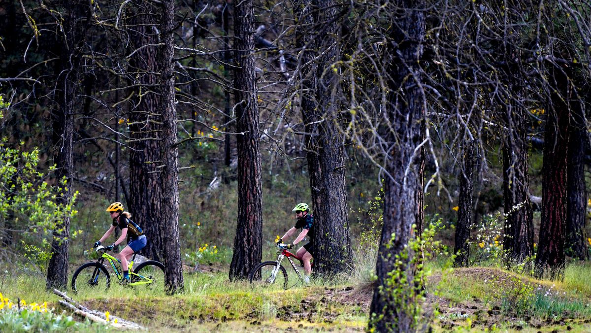 Racers make their way through the course during the Wednesday Night Mountain Bike Races at Riverside State Park on Wednesday, May 18, 2022.  (Kathy Plonka/The Spokesman-Review)