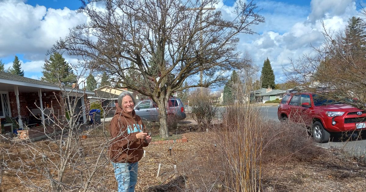 Gardening: ‘Messy’ techniques make garden more sustainable