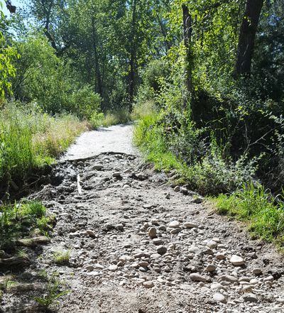 Flood damage on the Bethine Church River Trail portion of the Boise River Greenbelt, June 27, 2017 (City of Boise)